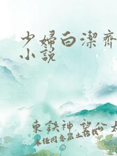 少妇白洁齐名的小说