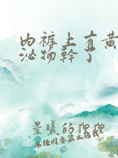 内裤上有黄色分泌物干了