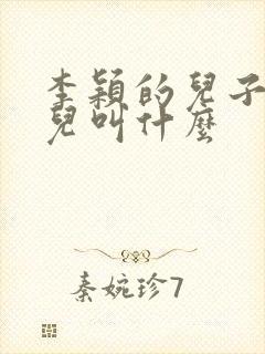 李颖的儿子和女儿叫什么