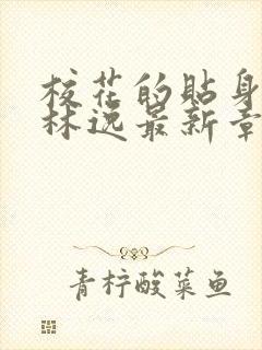 校花的贴身高手林逸最新章节