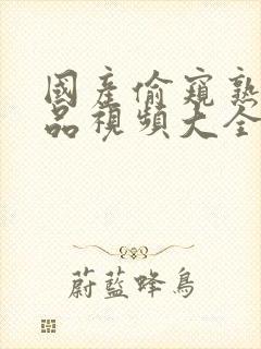 国产偷窥熟女精品视频大全1