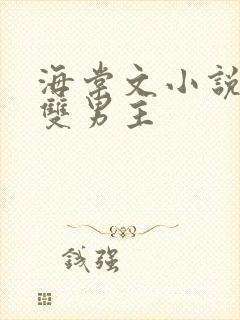 海棠文小说推荐双男主