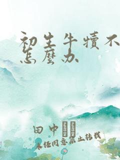 初生牛犊不吃奶怎么办