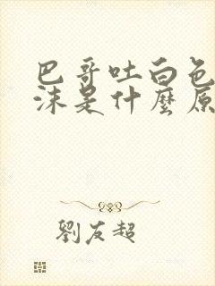 巴哥吐白色的泡沫是什么原因