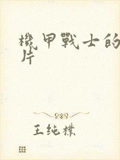 机甲战士的动画片