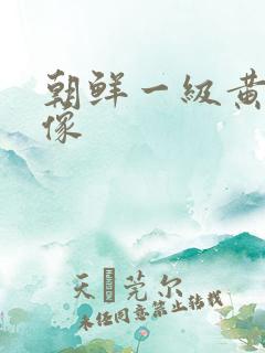 朝鲜一级黄色录像