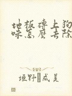 地板砖上狗尿骚味怎么去除