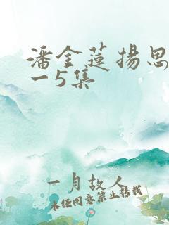 潘金莲扬思敏1一5集