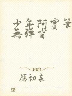 少年阿宾笔趣阁无弹窗