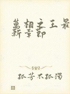 万相之王最新更新章节