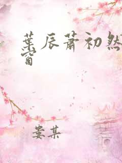 叶辰萧初然无弹窗