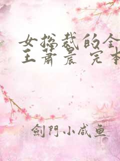 女总裁的全能兵王萧晨 完本