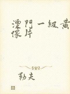 澳门一级黄色录像片