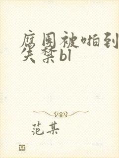 腐团被啪到高潮失禁bl