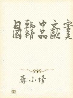 日韩中文字幕岛国精品欧美在线