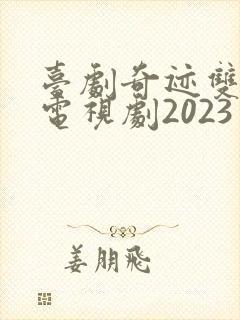 台剧奇迹双男主电视剧2023