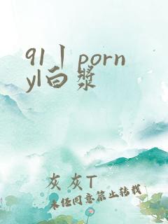 91丨porny|白浆