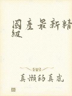 国产最新精品三级