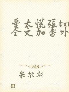 爱太慌张txt全文加番外