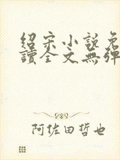 绍宋小说免费阅读全文无弹窗