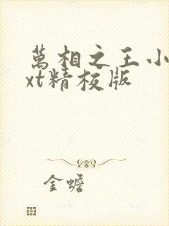 万相之王小说txt精校版