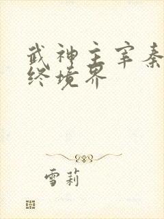 武神主宰秦尘最终境界