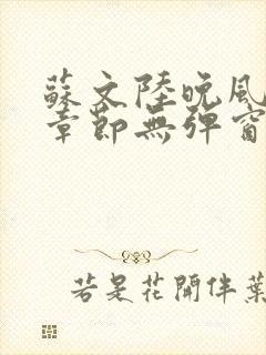 苏文陆晚风最新章节无弹窗笔趣阁