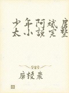 少年阿斌房东太太小说完整免费阅读下载