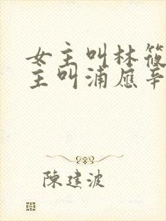 女主叫林筱帆男主叫浦应辛的小说