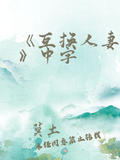 《互换人妻hd》中字