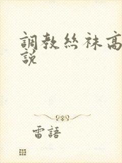 调教丝袜高跟小说