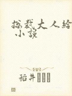 总裁大人给力宠 小说