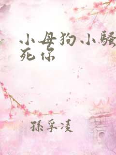 小母狗小骚货操死你