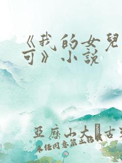 《我的女儿叫小可》小说