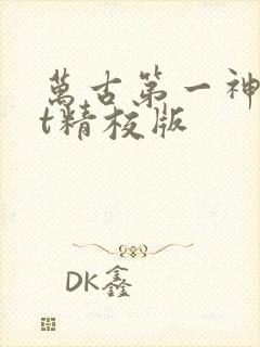 万古第一神txt精校版