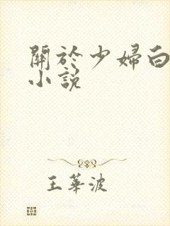 关于少妇白洁的小说