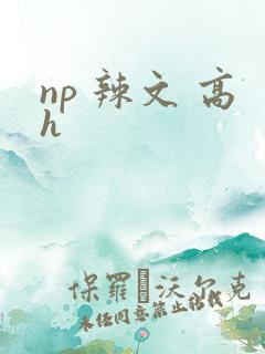 np 辣文 高h