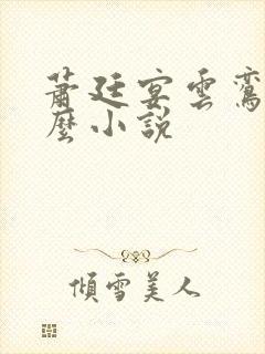 萧廷宴云鸾是什么小说