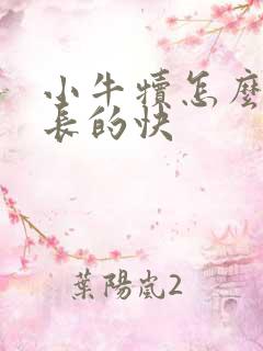 小牛犊怎么样养长的快