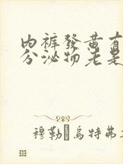 内裤发黄有黄色分泌物老是湿