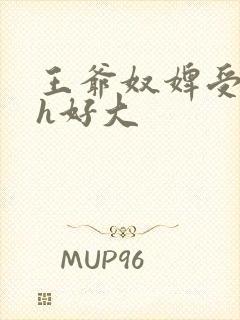 王爷奴婢受不了h好大