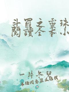 斗罗之灵珠神剑阅读全本小说