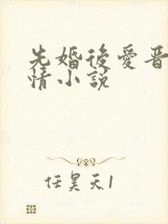 先婚后爱晋江言情小说