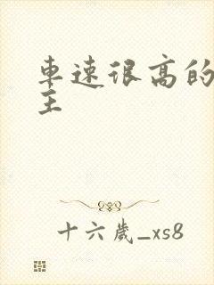 车速很高的双男主