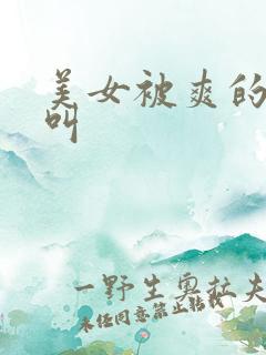 美女被爽的嗷嗷叫