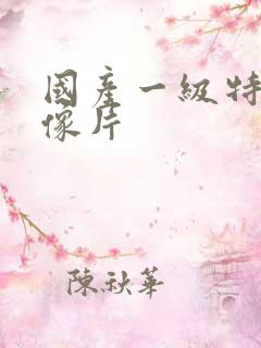 国产一级特黄录像片