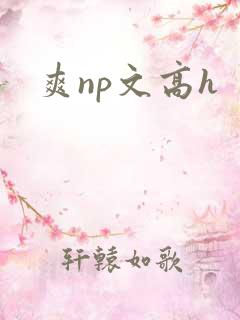 爽np文高h