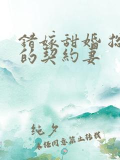 错嫁甜婚 总裁的契约妻