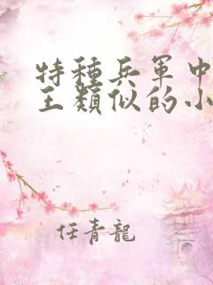 特种兵军中女阎王类似的小说