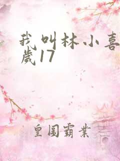 我叫林小喜今年岁17